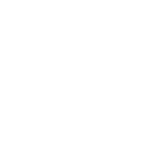 PopNeuron alternative logo