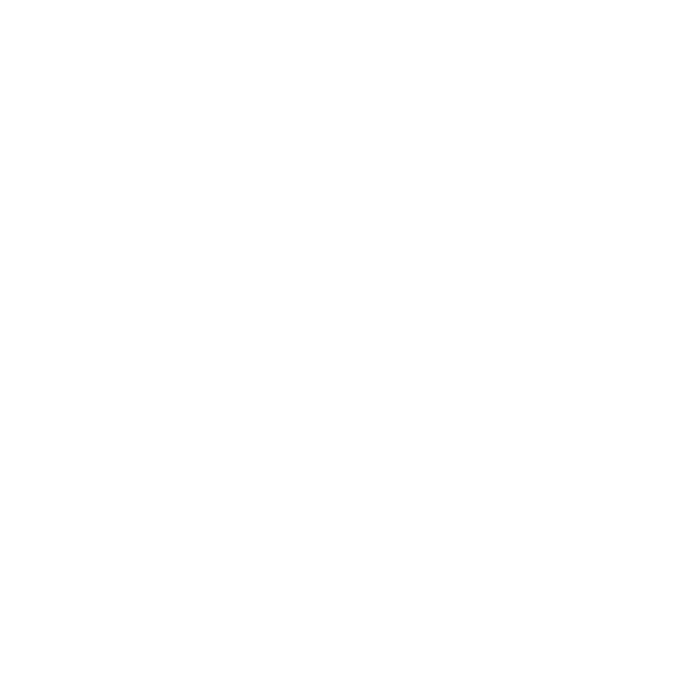 PopNeuron alternative logo