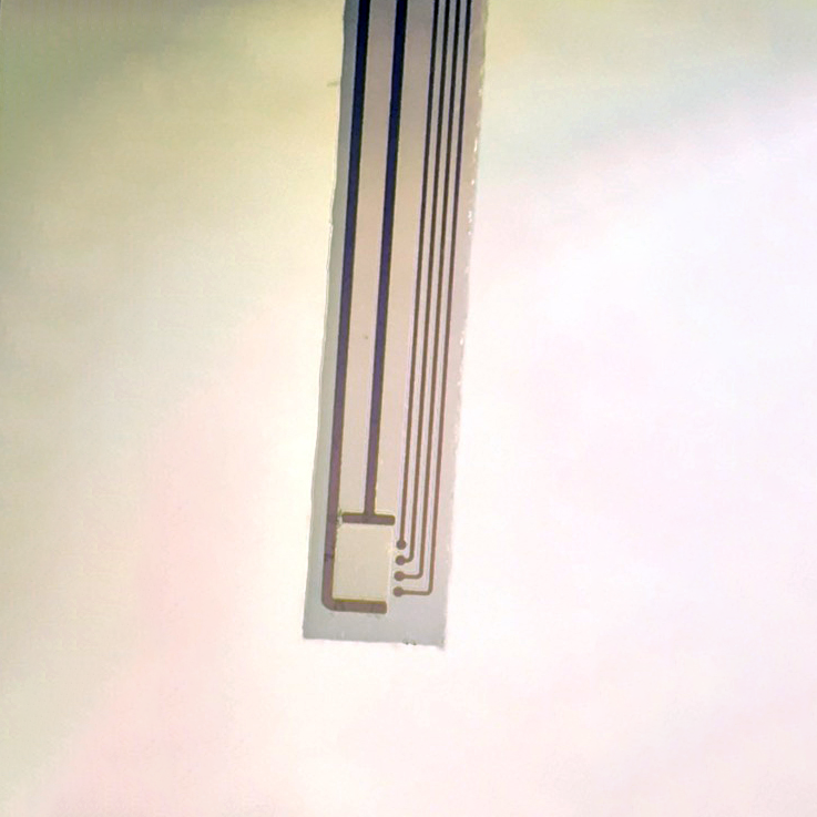 Light Spreads Omnidirectional Due to Sapphire Substrate