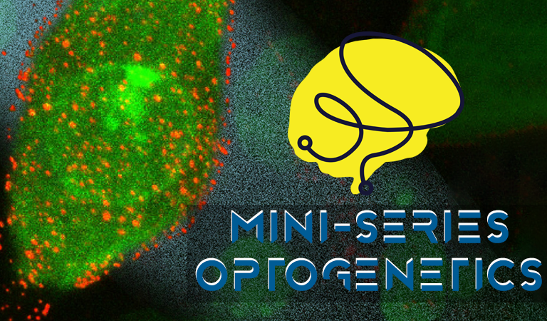 mini-series optogenetics blog image
