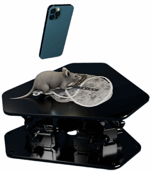 StereoAim ST4000 STEREOTAXIC PLATFORM